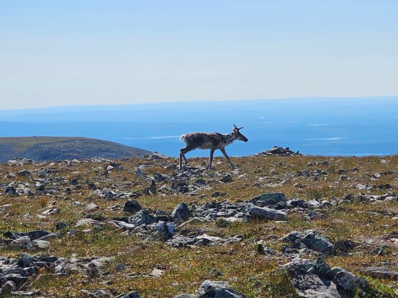 Hiking & Snowshoeing - Image 5